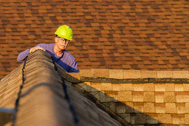 Best Roof Inspection Near Me  in South Run, VA